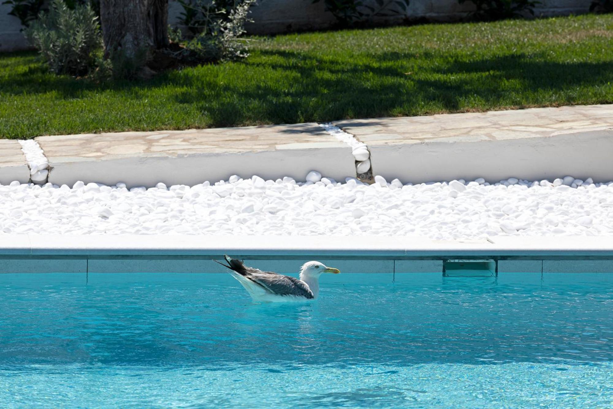 Lichnos Luxury Suites Sourpi Esterno foto